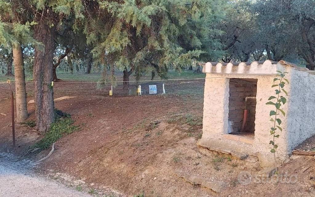 Appartamento – Recanati, Porta d'Osimo, Castelnuovo - Vista 4