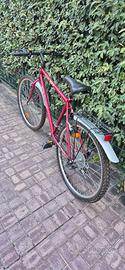 Bicicletta Super Bike da sistemare 