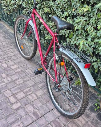 Bicicletta Super Bike da sistemare 