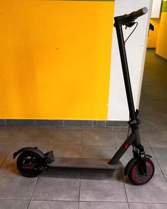Monopattino elettrico 10 pollici 250W Ammortizzato