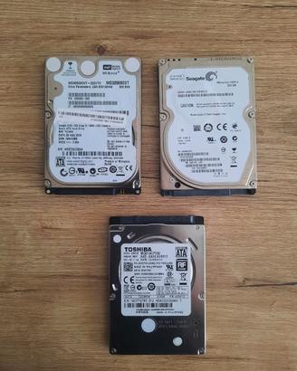 Lotto hard disk interni 320 gb