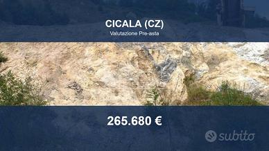 Immobile in asta di 36490 m² a Cicala
