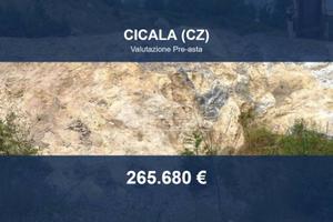 Immobile in asta di 36490 m² a Cicala