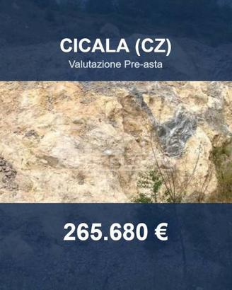 Immobile in asta di 36490 m² a Cicala