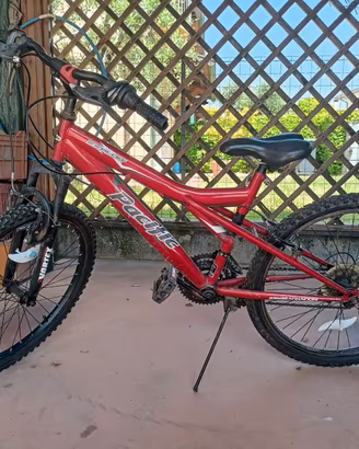 Bici ragazzo raggio 24