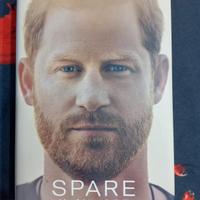 Libro Spare il minore 