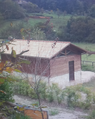 Casetta in legno con portico