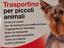 Immagine 6
