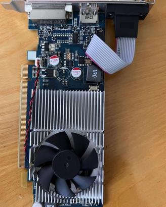 Scheda Video NVIDIA GeForce 315 512MB DDR3 HDMI