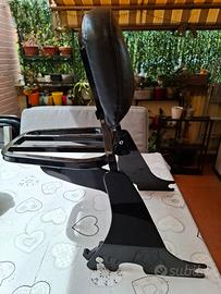 Harley Davidson Sissybar