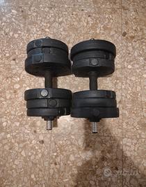 Pesi palestra manubri