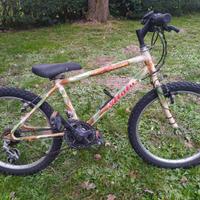bicicletta bambino