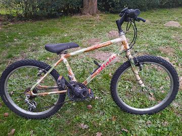 bicicletta bambino