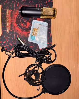 Neewer NW-800 + Ragno+Filtro Pop+Cavo +Adattatori