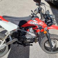 Lem Pitbike 14/12 XXL - 2007