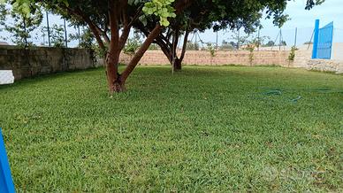 Terrenoi agricolo siracusa arenella milocca