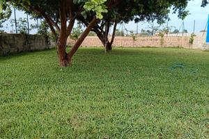 Terrenoi agricolo siracusa arenella milocca