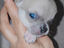 Immagine 5