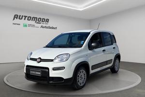 FIAT Panda 1.0 VAN AUTOCARRO 4POSTI