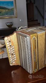 organola tipo du bot.