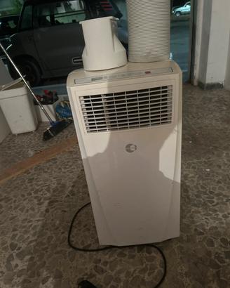 Climatizzatore e quation “pimguino”
