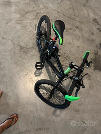 Bicicletta 10 anni