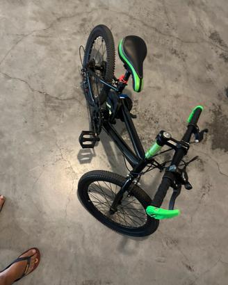 Bicicletta 10 anni