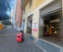 ATTIVITÀ A ROMA