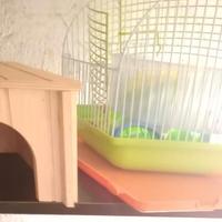 casetta criceto e gabietta criceto 