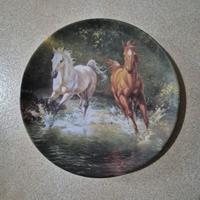 piatti da collezione 