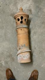 canna fumaria terminale