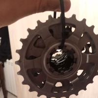 pacco pignoni Campagnolo 11 velocità