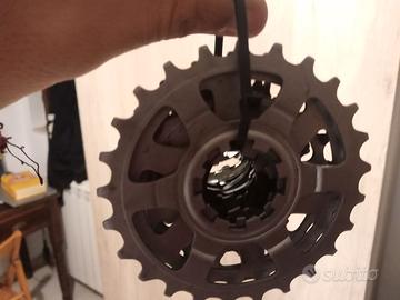 pacco pignoni Campagnolo 11 velocità