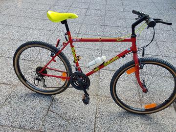 bicicletta mountain bike