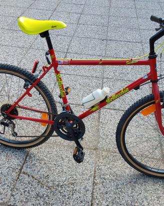 bicicletta mountain bike