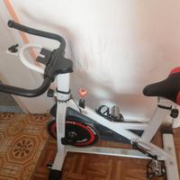 Cyclette Professionale