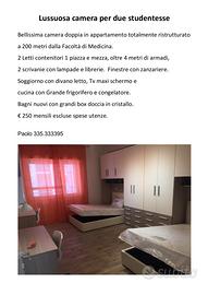 Lussuosa Camera per 1 o 2 studentesse