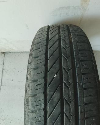 Gomme estive