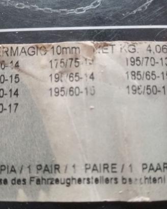 Catene per auto