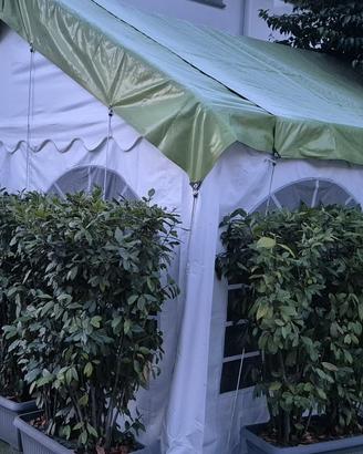 Gazebo 4x4