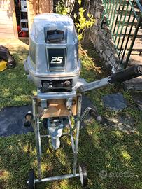 Evinrude 25
