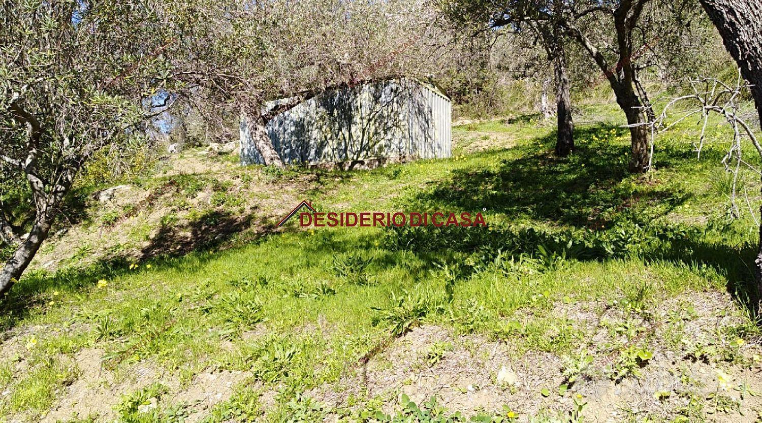 Terreno, Cefalù. - Vista 4