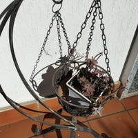 Lotto 4 portavasi in ferro battuto 