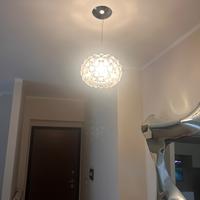 Caboche foscarini piccola