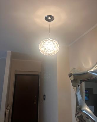 Caboche foscarini piccola