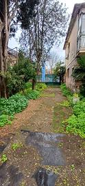Soluzione indipendente con giardino