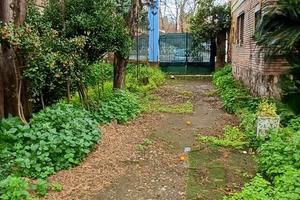 Soluzione indipendente con giardino