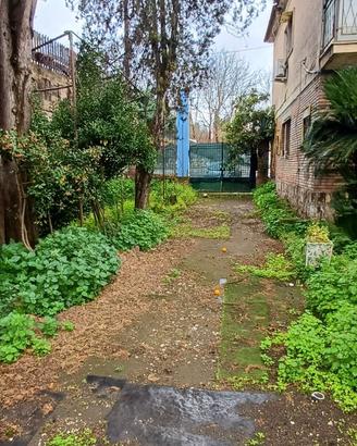 Soluzione indipendente con giardino