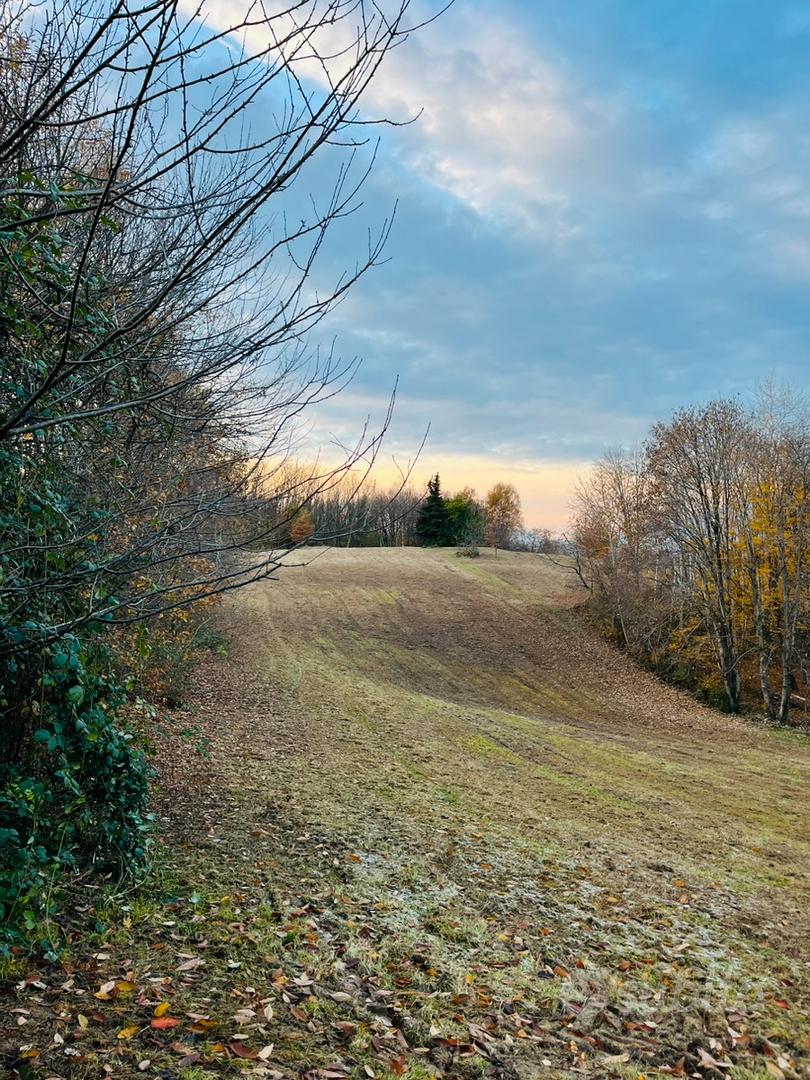 Terreno agricolo - Vista 2