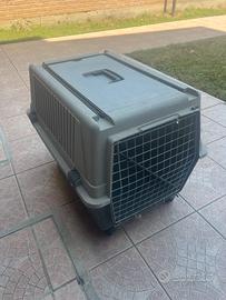 Gabbia plastica per cani